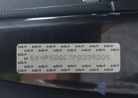 2023 Kia Telluride Sx/Sx Prestige/Sx Prestige X-Line/Sx Prestige X-Pro/Sx X-Line/Sx X-Pro from USA, damaged, VIN 5XYP5DGC2PE339205
